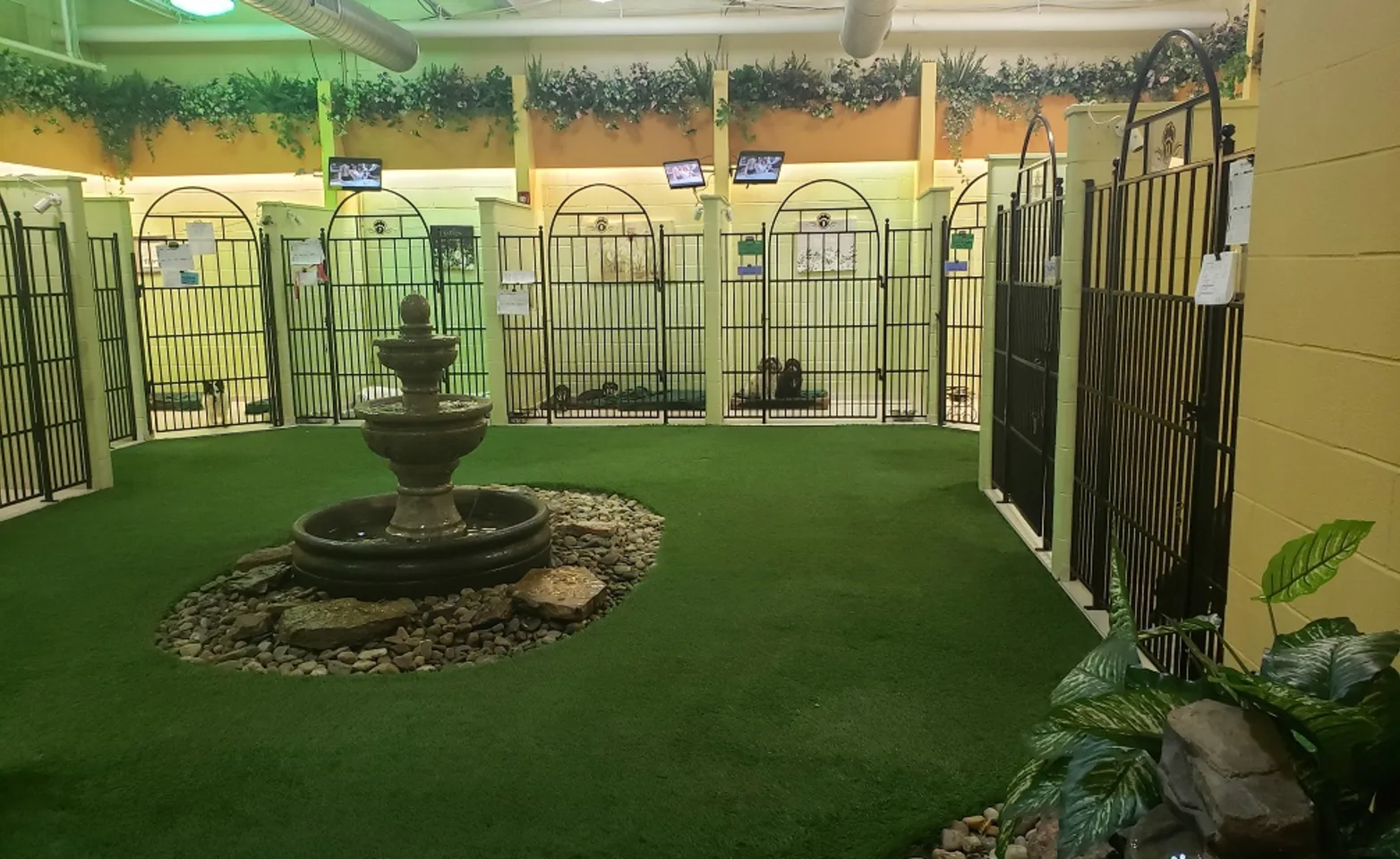 Guest Suite of the The Barkley Pet Hotel & Day Camp 